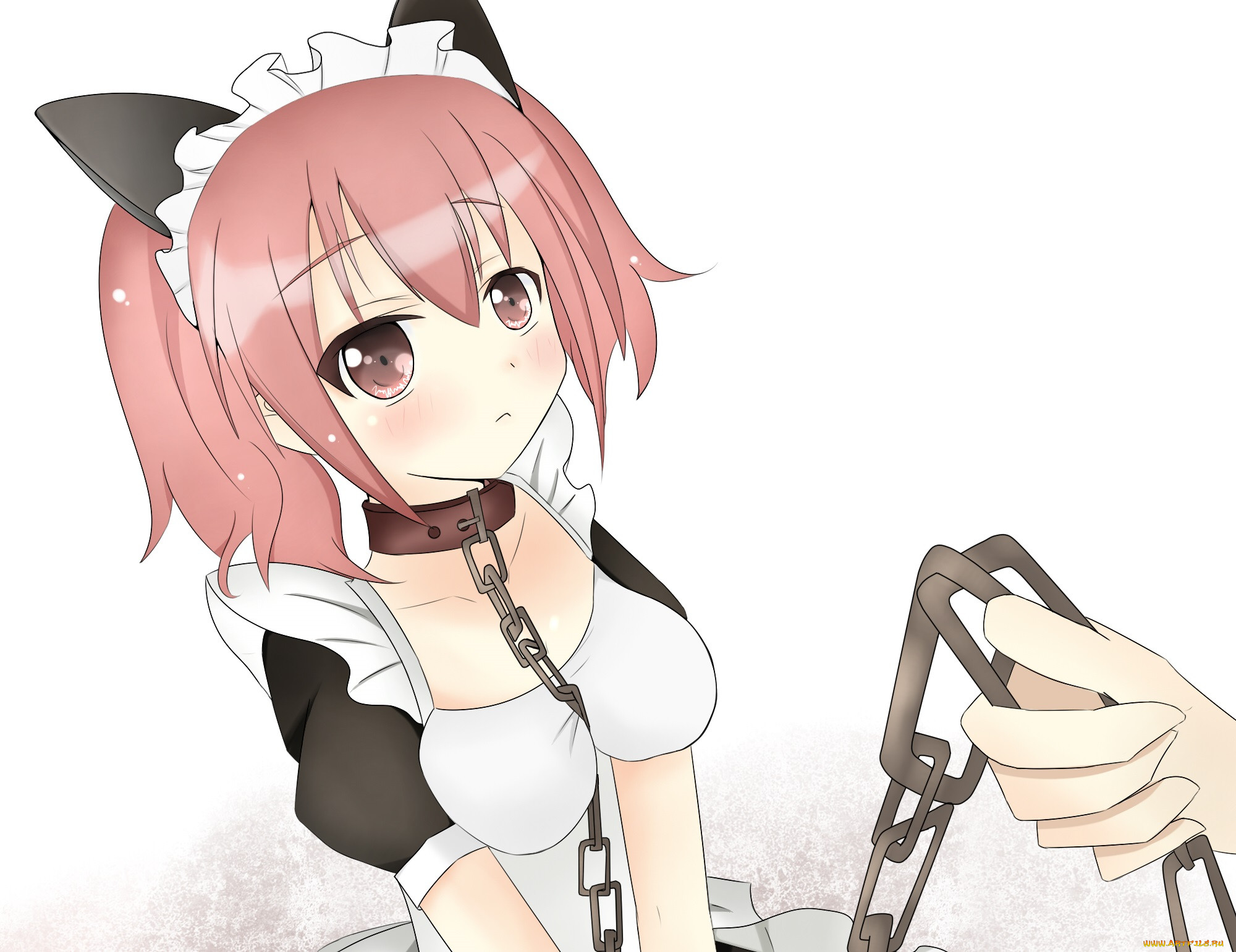 , inu x boku ss, 